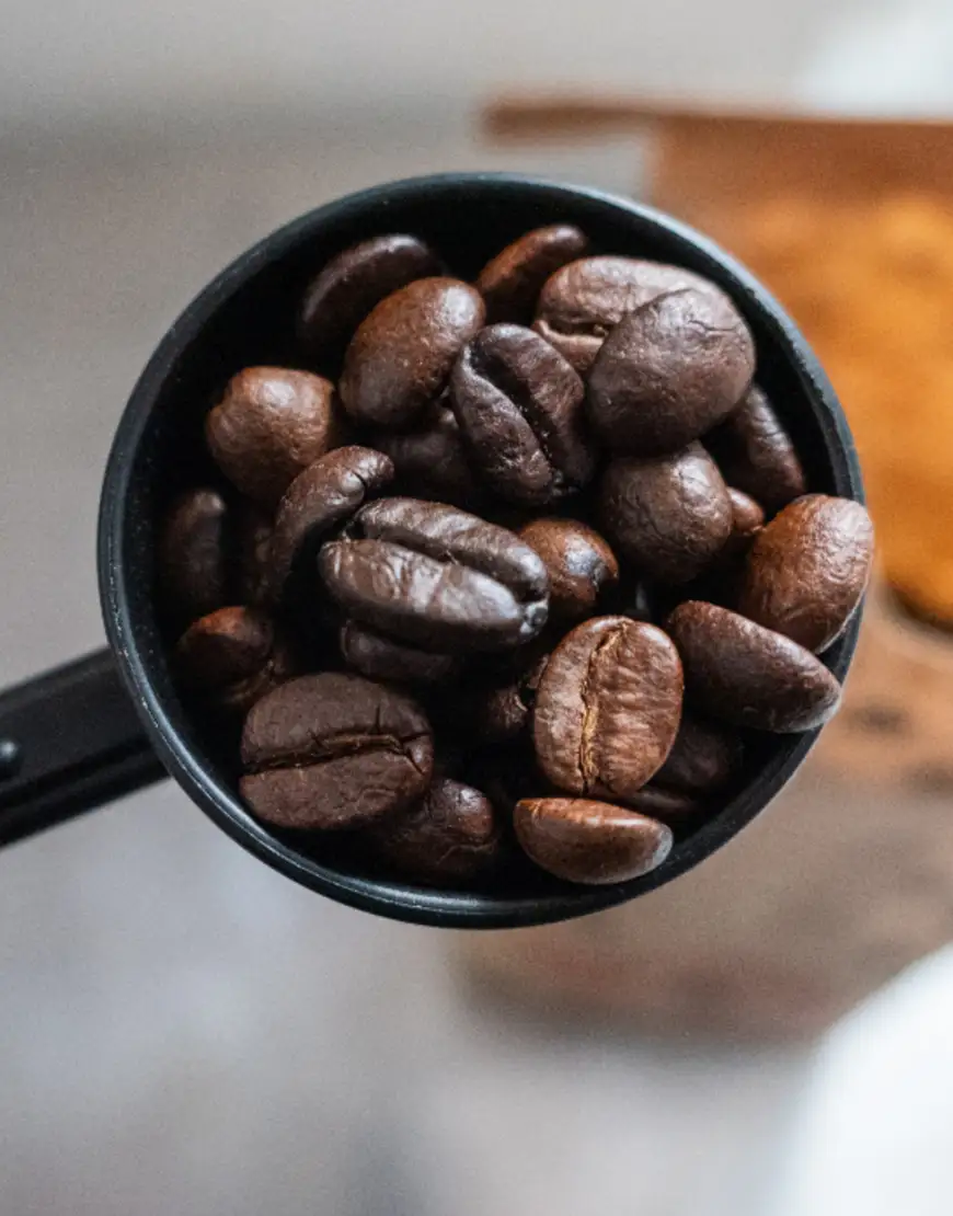 Cómo se califica un café: la escala de puntos de la SCA